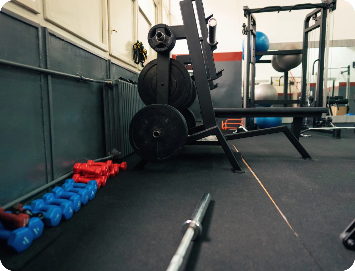Dumbbells and weightlifting bench in gym