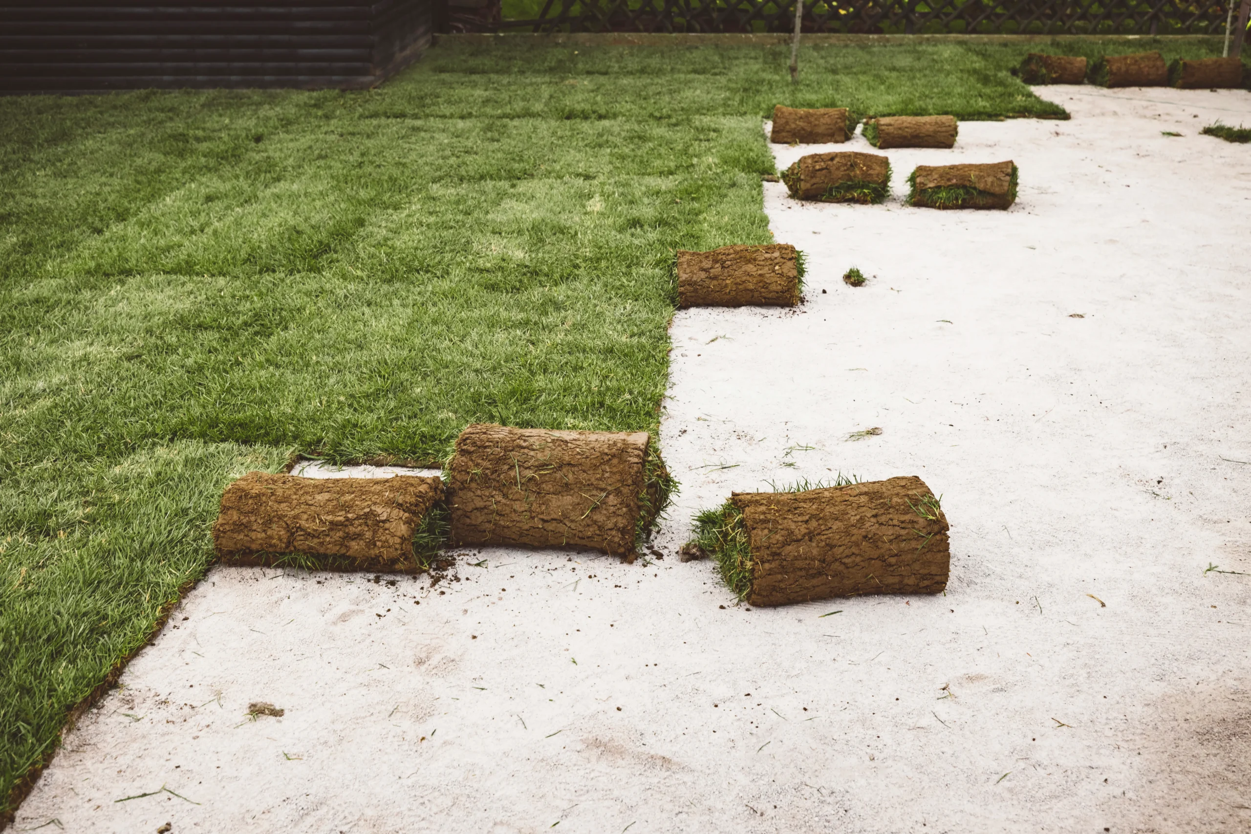 Fresh sod being installed in yard