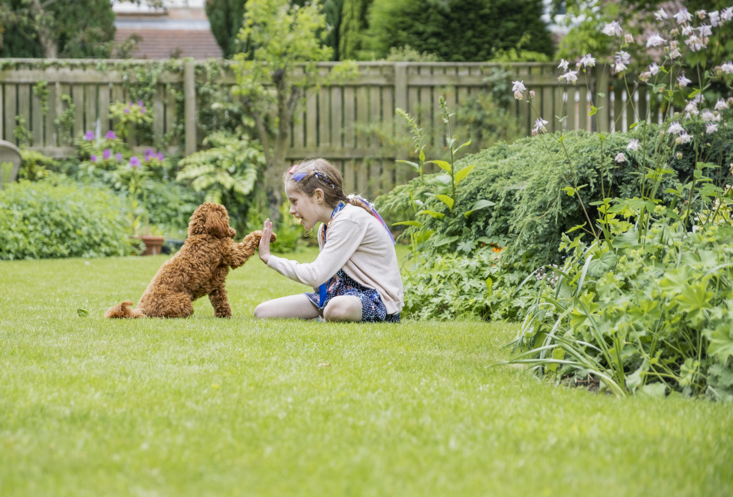 Young girl and dog bonding outdoors