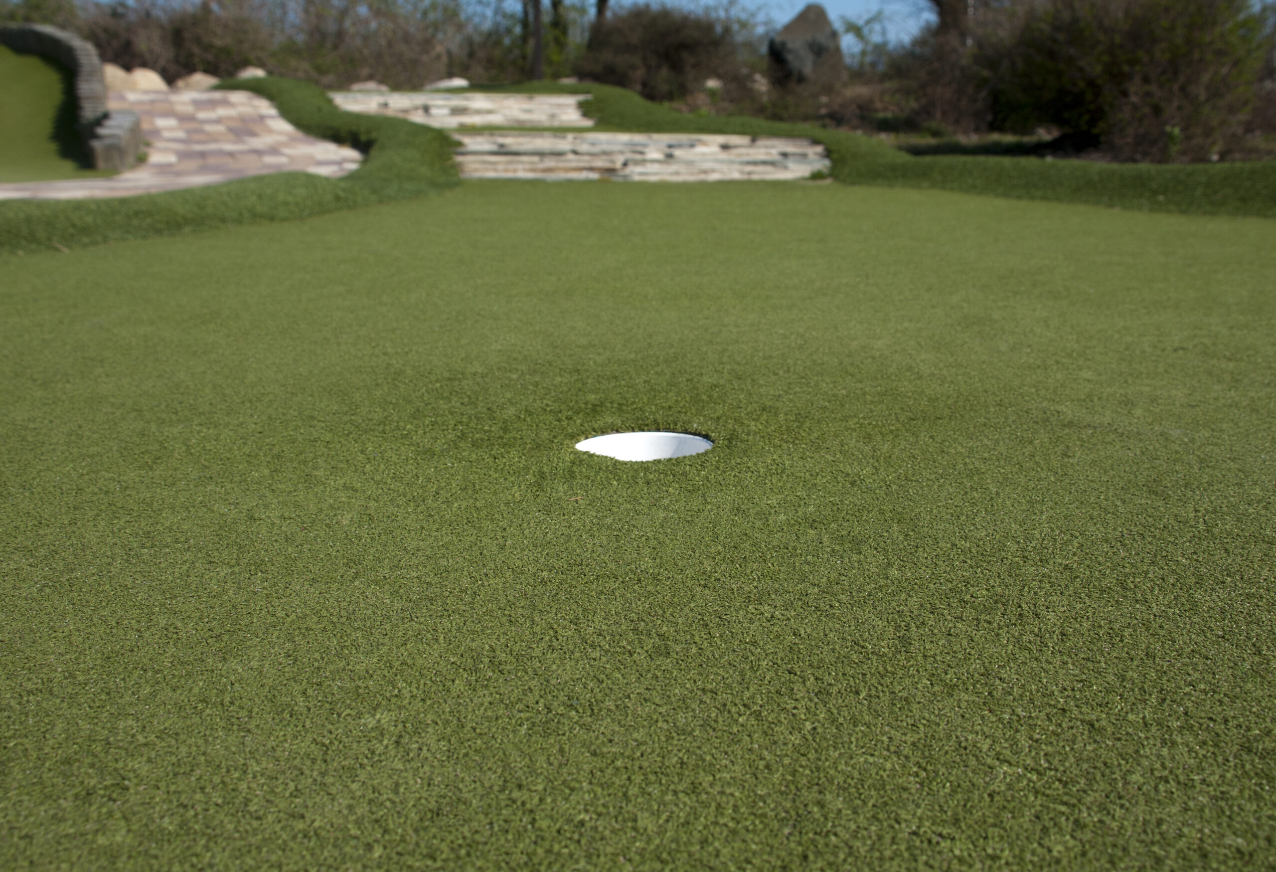 Golf course putting area with hole