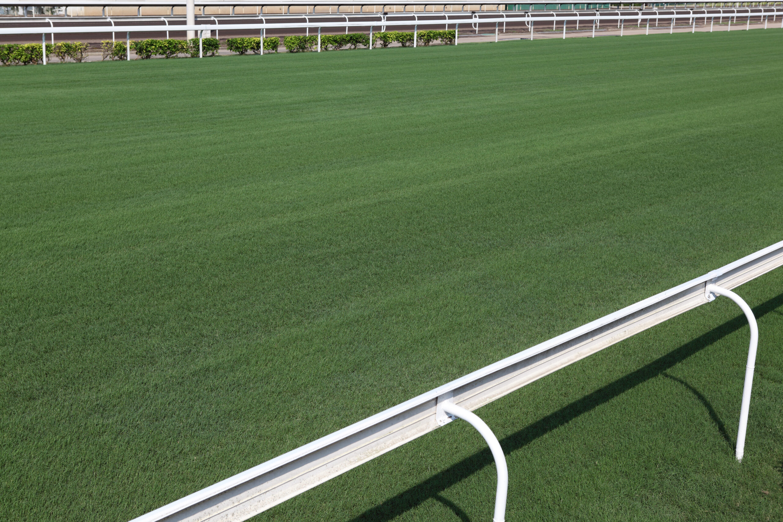 Racecourse with green grass and railings