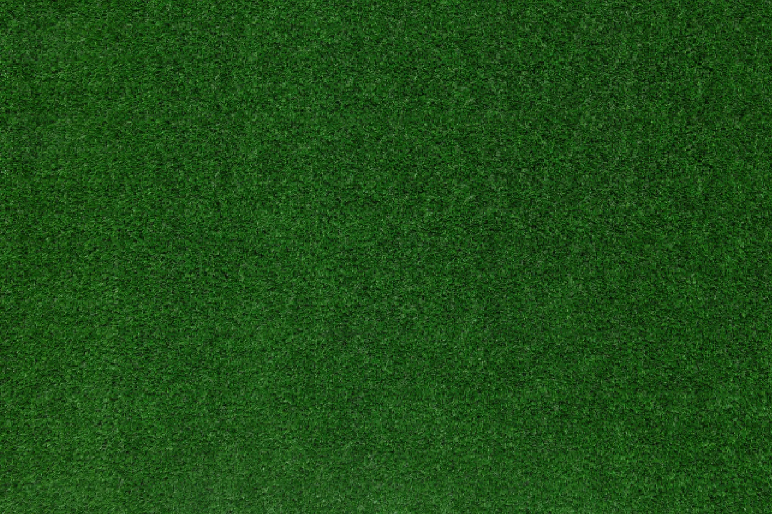 Lush green turf surface