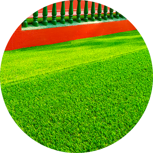 Vibrant grass and colorful fence